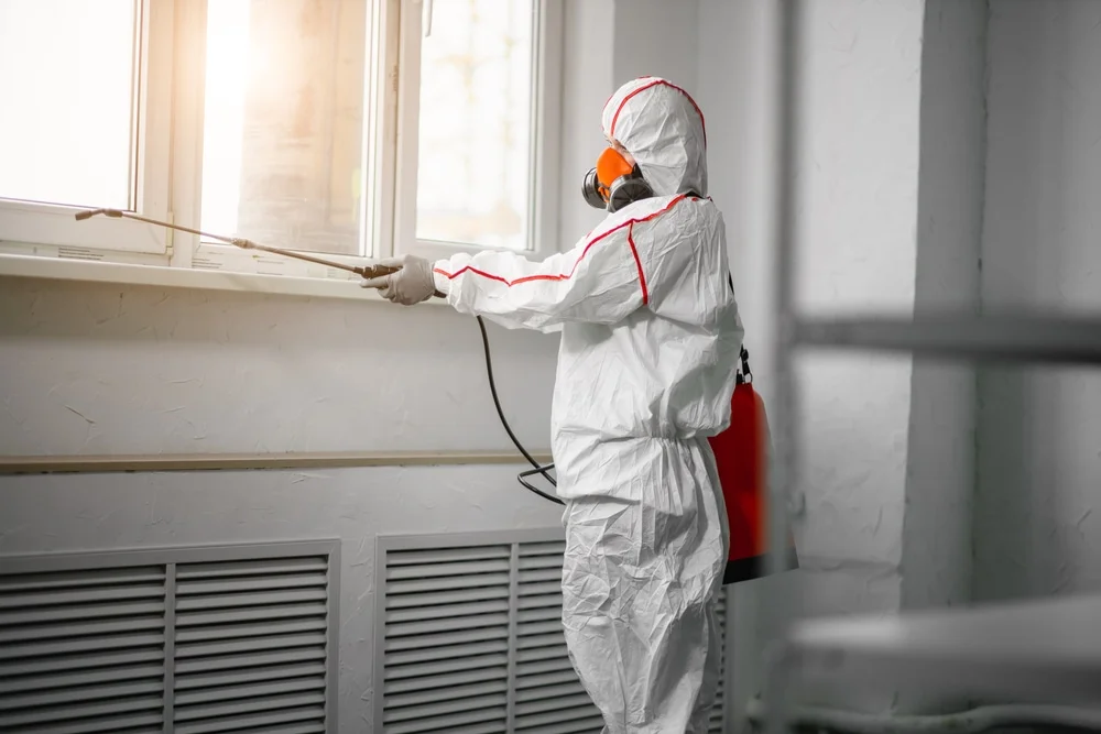 Professional mold remediation services in Robert, LA